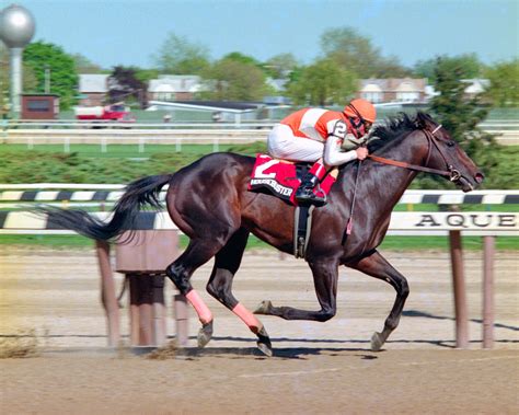 horseracebase|equibase horse search.